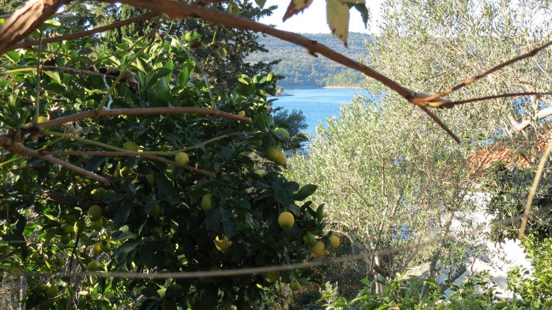 Apartments Janja - Terrace Sea View Necujam Bagian luar foto